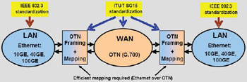 FPGAF(xin)100G;W(wng)