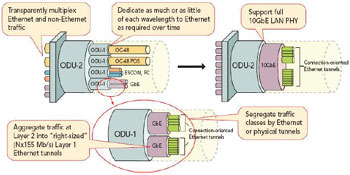 FPGA(sh)F(xin)100G;W(wng)