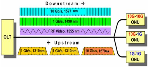 10G-EPONc1G-EPONϵy(tng)cLʾD